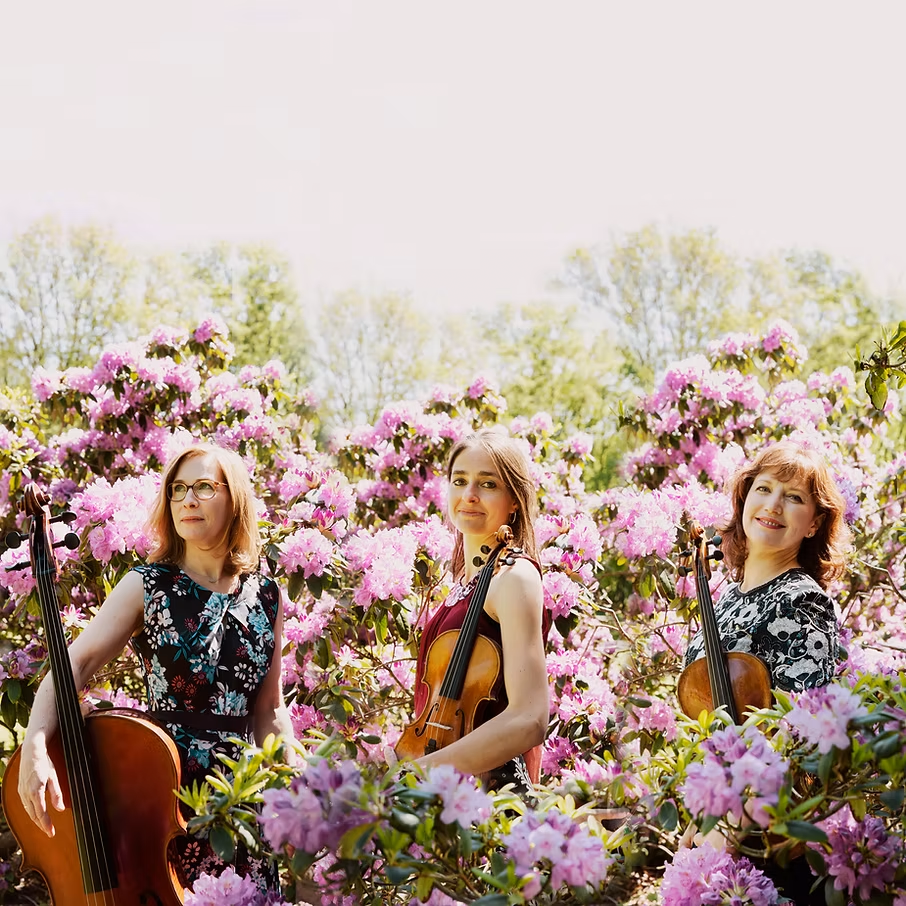 The Haque String Trio